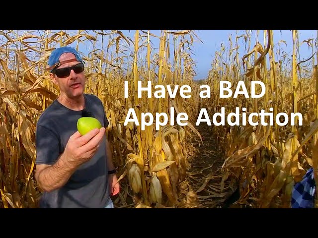 Confessions of a Childhood Apple Addict 🍏 | VR180