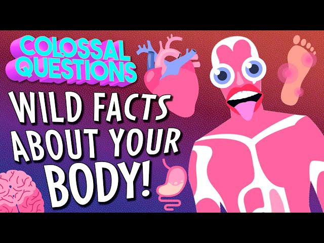 GROSS Things That Can Happen to Your Body! (If You Don't Take Care of it) | COLOSSAL QUESTIONS