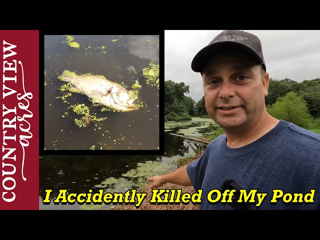 I Think I Killed all the Fish in Our Pond when I Installed a Pond Aeration System  -  100% My Fault