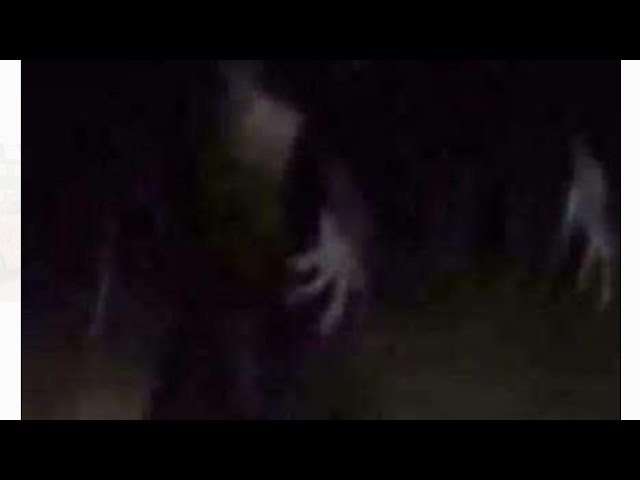 real ghost in forest ghost attacked my friend recorded in camera #trending #ghost  #video  #blog  😱😱