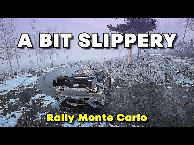 CAN'T SEE A THING - HEAVY Snow Rally Monte Carlo