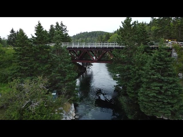 Drone Views - DJI Mini 2 SE.