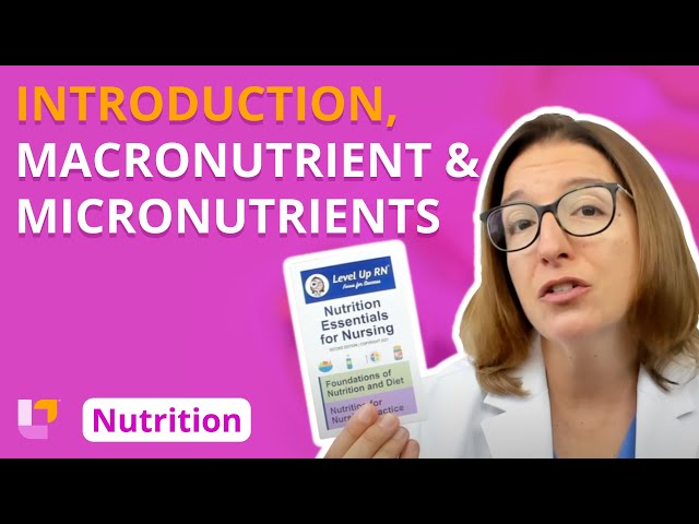 Introduction, Overview of Nutrients - Nutrition Essentials | @LevelUpRN