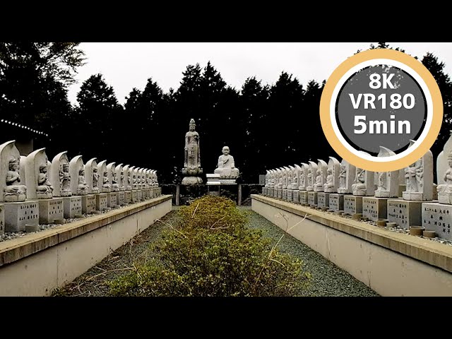 5 Min Meditation Surrounded by Buddha statues on the mountain VR180 8K Binaural ASMR