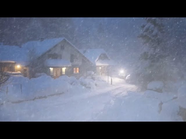 Snowflakes Drift & Winds Roar ❄️ Ultimate Relaxation with Winter Storm Sounds