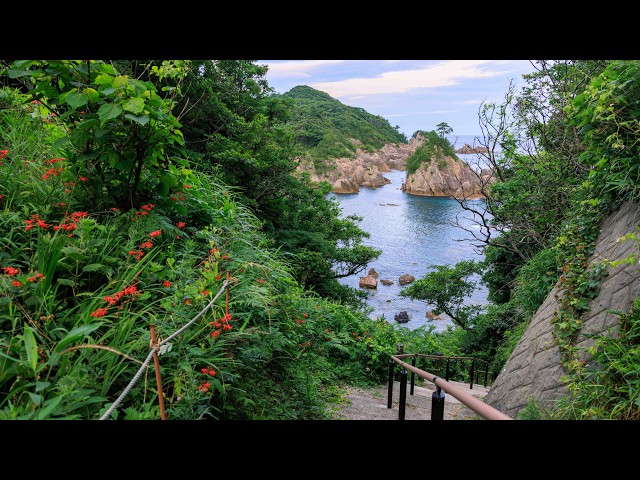 Quiet Beach and Forest Walk on Uradome Coastal Trail at Dawn | Tottori, Japan 4K Nature Ambience