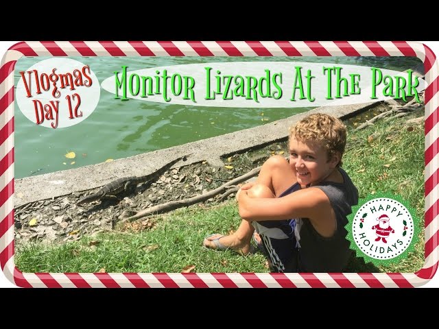 Monitor Lizards At The Park & The Best Mall In The World | Vlogmas Day 12