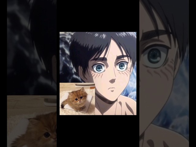 ATTACK ON TITAN MEMES 280% 😂