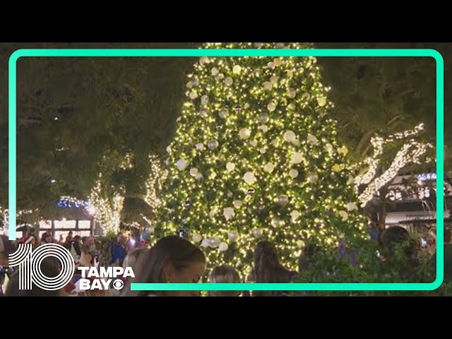 Hyde Park kicks off holiday season with tree lighting ceremony