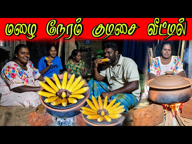 கிராமத்து வீட்டில் சோளம் அவியல் | Our Village life ♥️ | vanni vlog