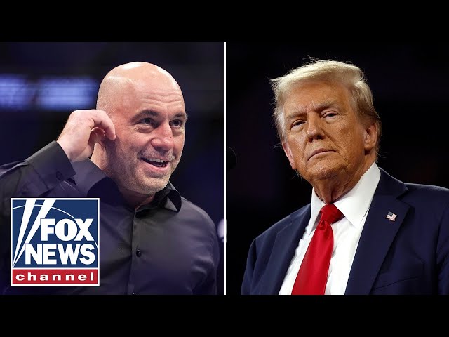 Trump lands major endorsement from Joe Rogan