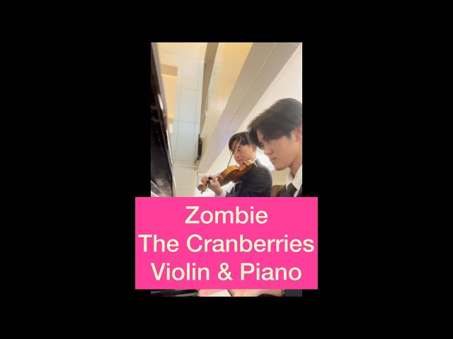 Zombie - The Cranberries (Violin & Piano)