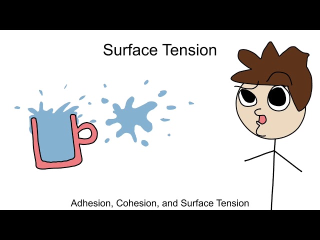 Adhesion, Cohesion and Surface Tension Part 10