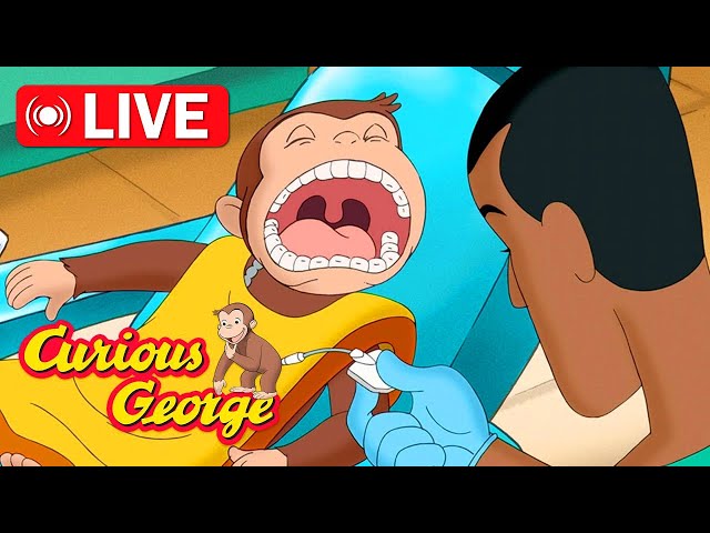 🔴 LIVE Curious George Full Episodes | Why do we brush our teeth? | Kids Cartoon | Videos for Kids