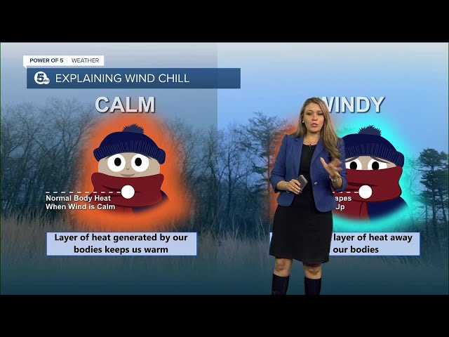 Does the 'wind chill temperature' even matter?