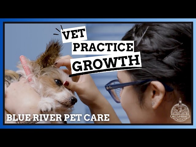 Blue River PetCare: Premier Veterinary Consolidator Spotlight | Bottle Rocket Media