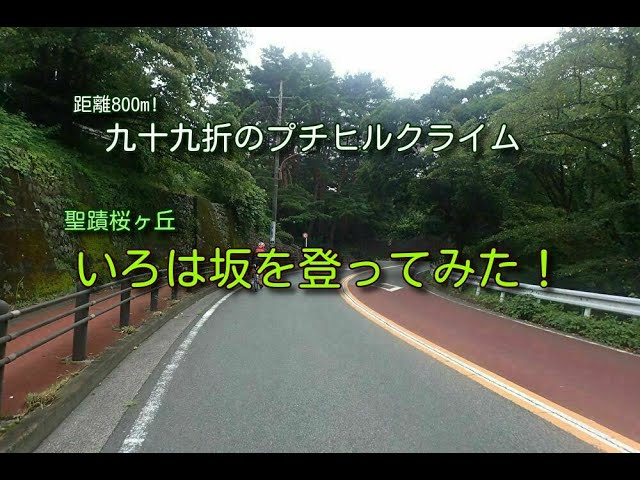 【ヒルクライム攻略法】聖蹟いろは坂をロードバイクで登ってみた【360°動画】