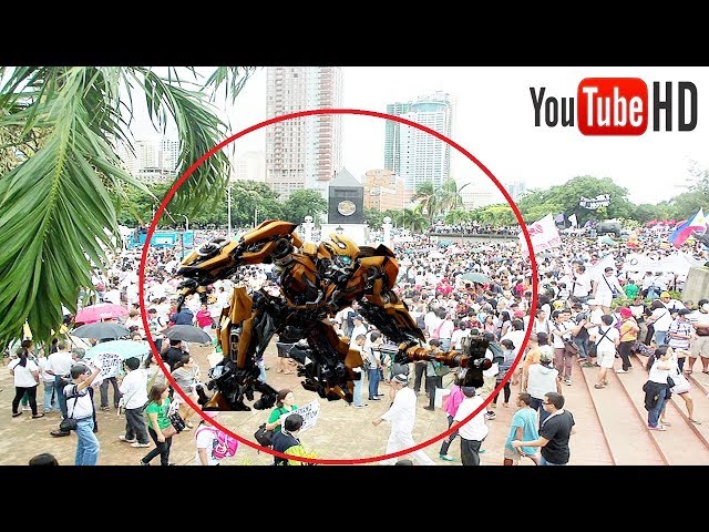 5 TIMES REAL BUMBLEBEE CAUGHT ON CAMERA & SPOTTED IN REAL LIFE !!