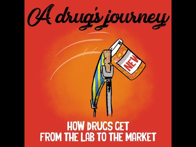 A drug's journey: how drugs get from the lab to the market