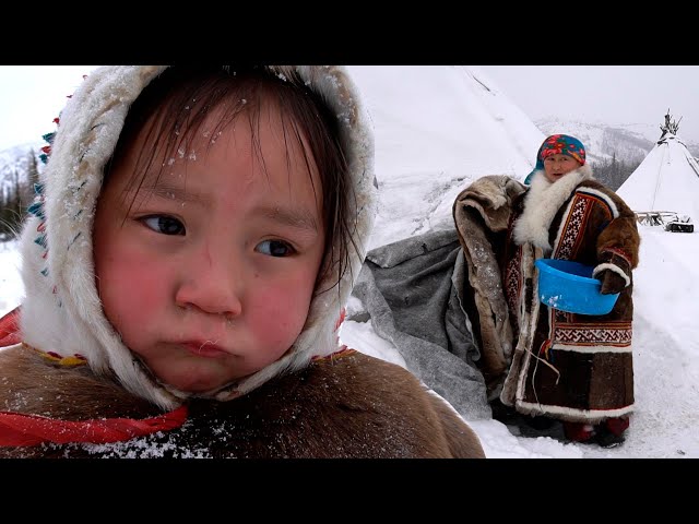 Life in URAL Mountains. Russia. Survival in Far North. Nomads Nenets