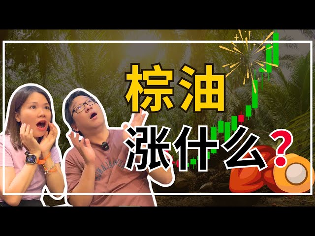 棕油CPO涨什么？是虚火吗？｜八卦大小文