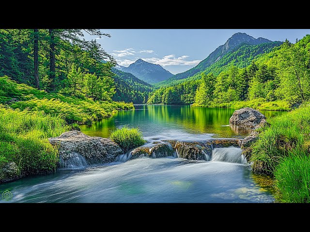 Healing Harmony: Music for the Heart and Blood Vessels 🌿 Relaxing music for stress relief #37