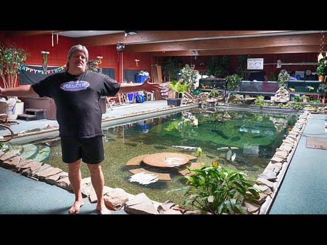 Monster Home Pool Pond! - Ohio Fish Rescue Tour 2019