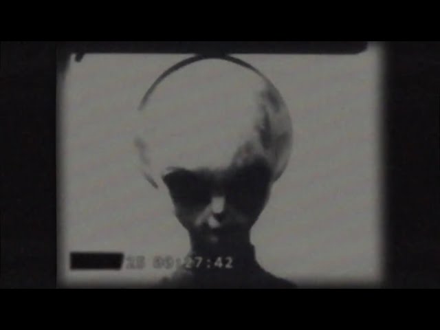 Are the "Skinny Bob" Alien Videos Real?