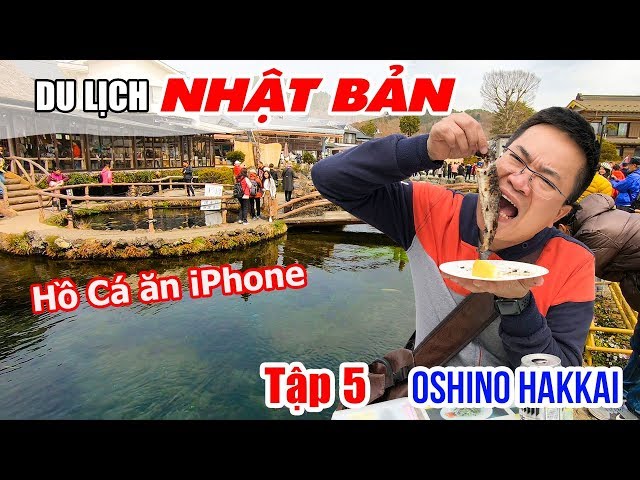 Khám phá Hồ Cá Koi "ăn iPhone" tại Làng Oshino Hakkai | DU LỊCH NHẬT BẢN