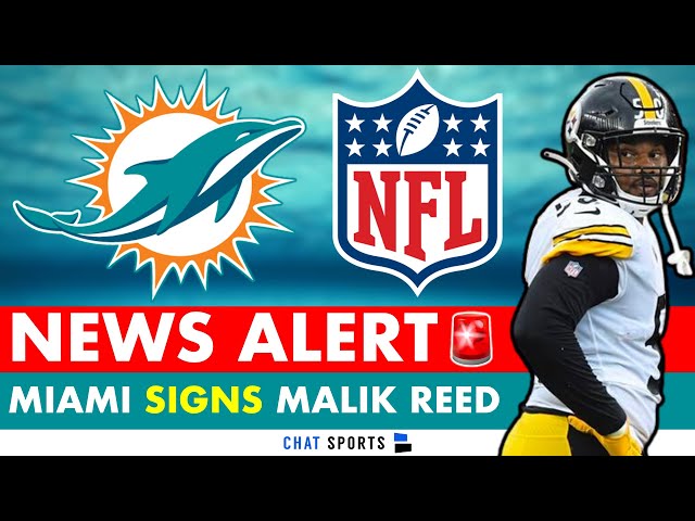 Dolphins News ALERT: LB Malik Reed Signs With Miami - Willy Fins Reacts | Dolphins Free Agency