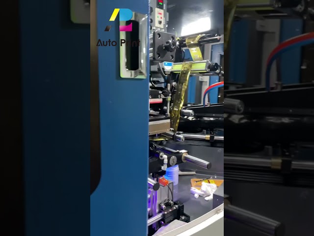 Automatic Silk Screen Printing Machine with Hot Stamping