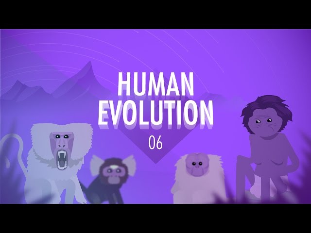 Human Evolution: Crash Course Big History #6