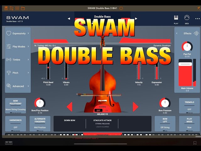 SWAM Double Bass - Expressive Modeled Strings - Demo for the iPad