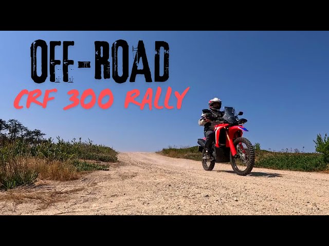 OFF-ROAD in the SAND | Honda CRF 300 Rally