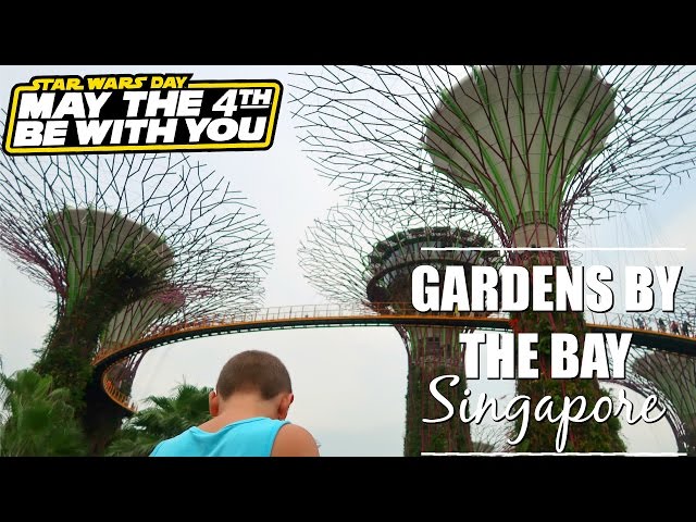 Gardens by the Bay Star Wars style, Singapore