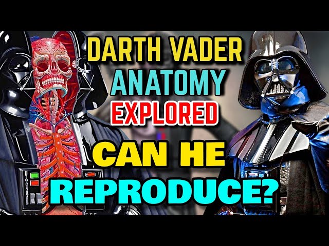 Darth Vader Anatomy Explored - Can This Sith Lord Reproduce? Is He Also Healing Inside His Suit?