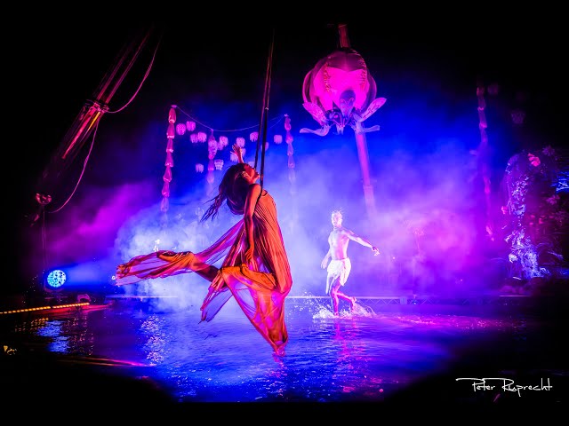 Lucent Dossier Ascending Dreams Burning Man 2024