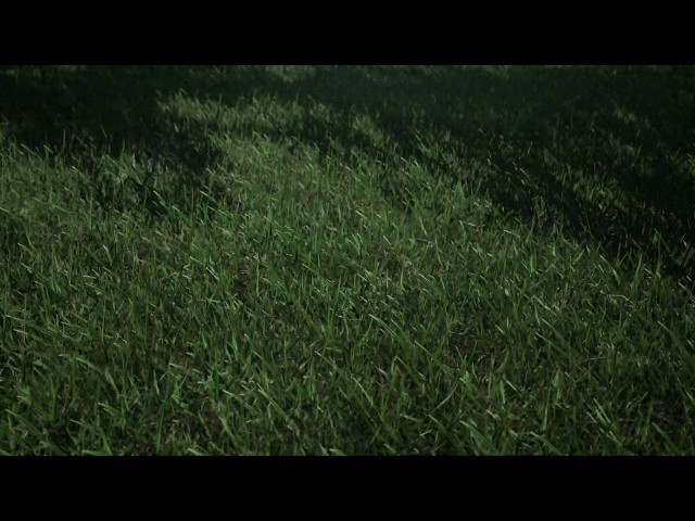 UE4 Wild Grass Test