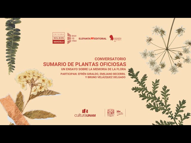 Conservatorio “Sumario de plantas oficiosas. Un ensayo sobre la memoria de la flora”