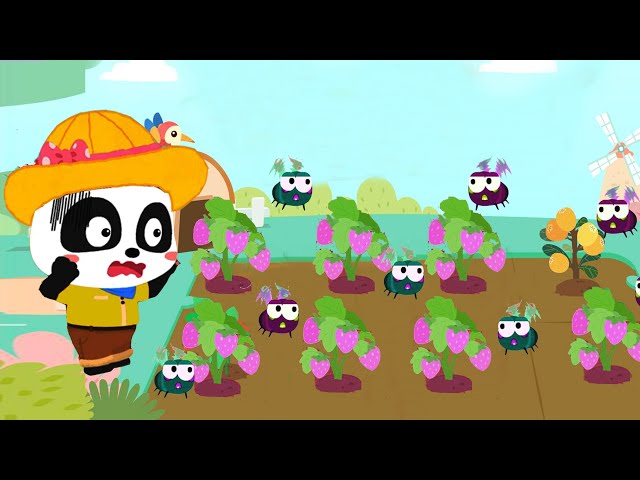 Little Panda Protect Fruit Garden - Help and Destroy Fruit Beetles - Babybus Cartoon Game Video