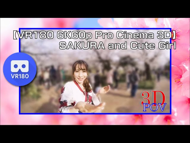 【VR180 6K60p 3D】SAKURA and Japanese Cute Girl