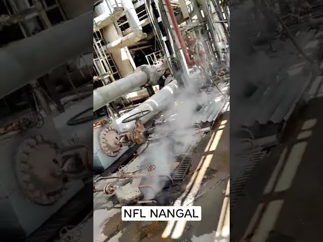 NFL NANGAL | National fertilizers Limited, Naya Nangal | Vineet Mishra | NFL Intern