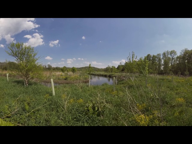 Reforesting the Paulins Kill