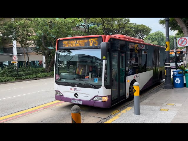 SBS Transit Bus Service 175 SBS6803L Mercedes-Benz O530 Citaro (Batch 2)