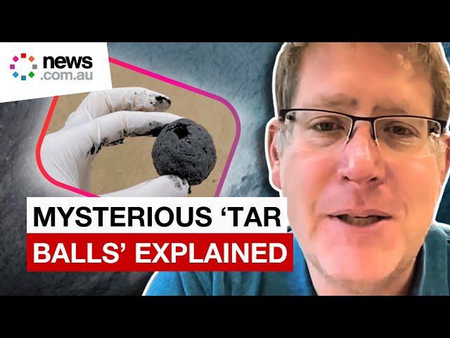 Mystery of 'black tar balls' washing up on Sydney beaches explained