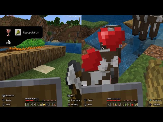 Minecraft Repopulation