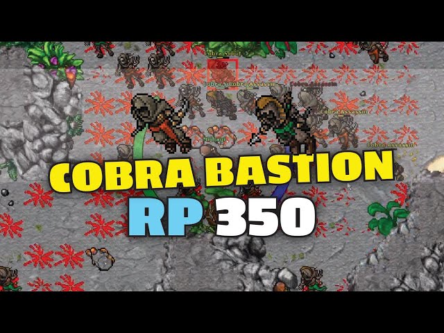 Cobra Bastion - RP 350 solo - Tibia hunting