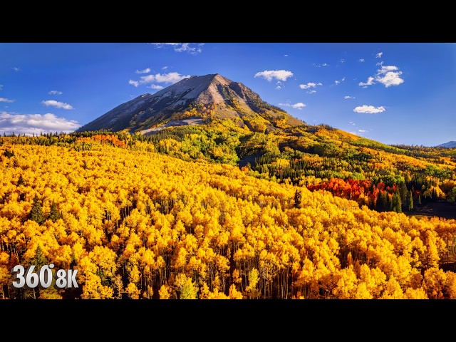 Meditative Flight Over Autumn Colors - 360 Relaxation for Inner Calm