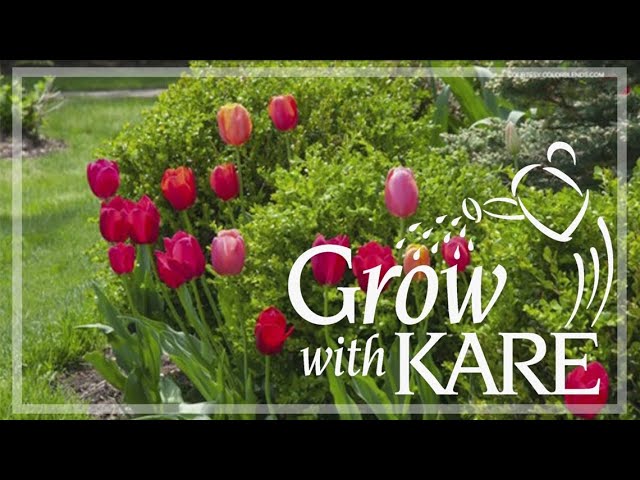 Grow with KARE: Garden designs for spring bulbs