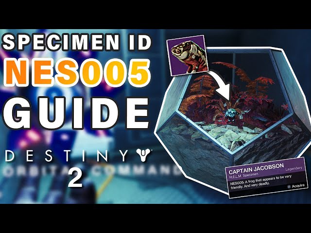 How to Complete Failsafe SPECIMEN ID: NES005 Complete Guide ► Destiny 2